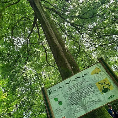 La Ruchette 펜션 *